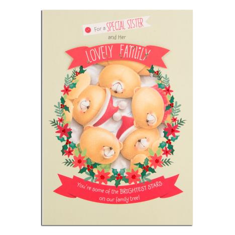 Special Sister & Family Forever Friends Christmas Card